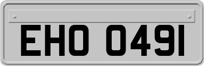 EHO0491
