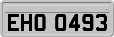EHO0493