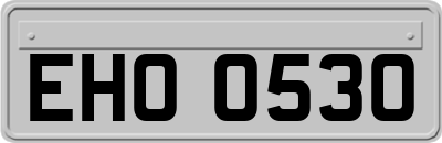 EHO0530
