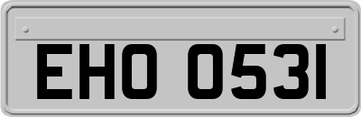 EHO0531