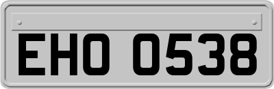 EHO0538
