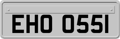 EHO0551