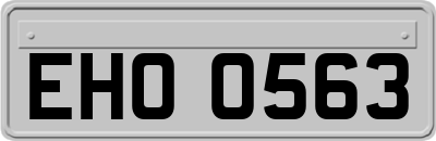 EHO0563
