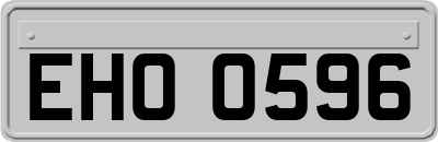 EHO0596