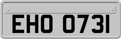 EHO0731