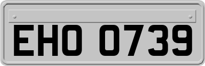 EHO0739