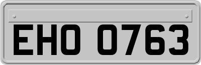 EHO0763