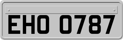 EHO0787