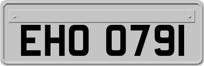 EHO0791