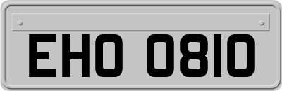 EHO0810