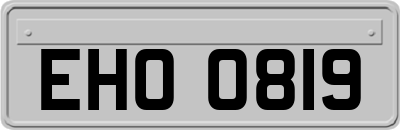 EHO0819