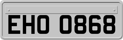 EHO0868