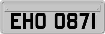 EHO0871