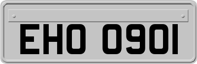 EHO0901