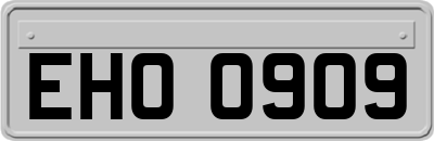 EHO0909