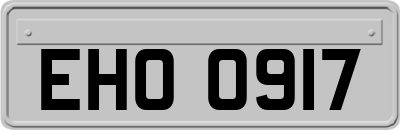 EHO0917