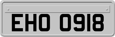 EHO0918