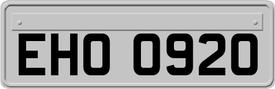 EHO0920