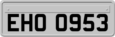 EHO0953