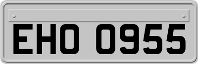 EHO0955