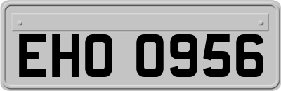 EHO0956