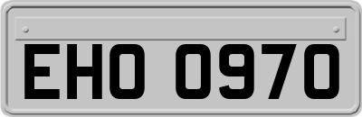 EHO0970