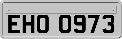 EHO0973