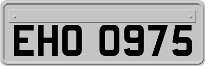 EHO0975