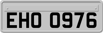 EHO0976