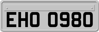 EHO0980