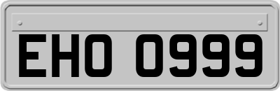 EHO0999