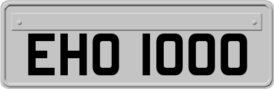 EHO1000