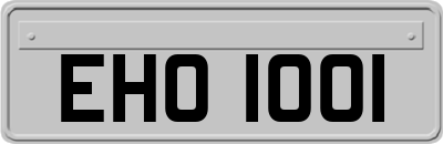 EHO1001