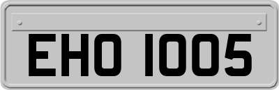 EHO1005