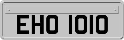 EHO1010