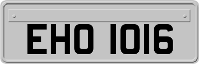 EHO1016
