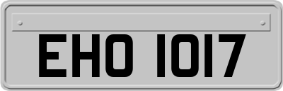 EHO1017