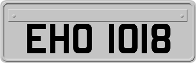 EHO1018