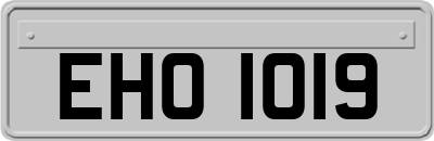 EHO1019