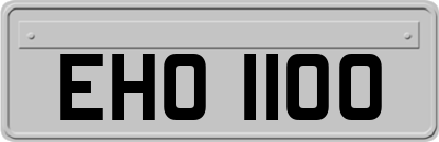 EHO1100