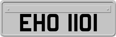 EHO1101