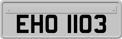 EHO1103