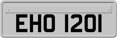 EHO1201