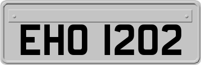 EHO1202