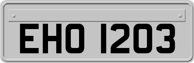EHO1203