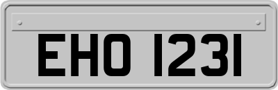 EHO1231