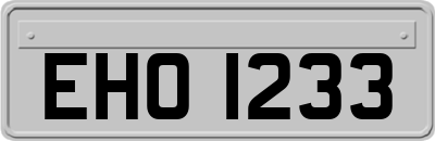 EHO1233