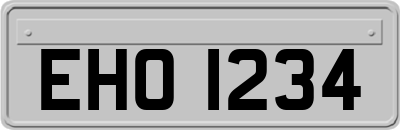 EHO1234