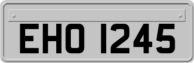 EHO1245