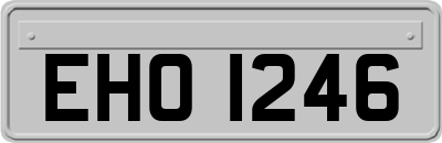 EHO1246